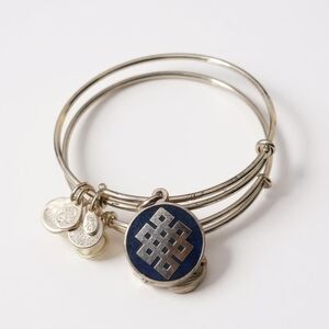 Alex And Ani Endless Knot 2014 Bangle